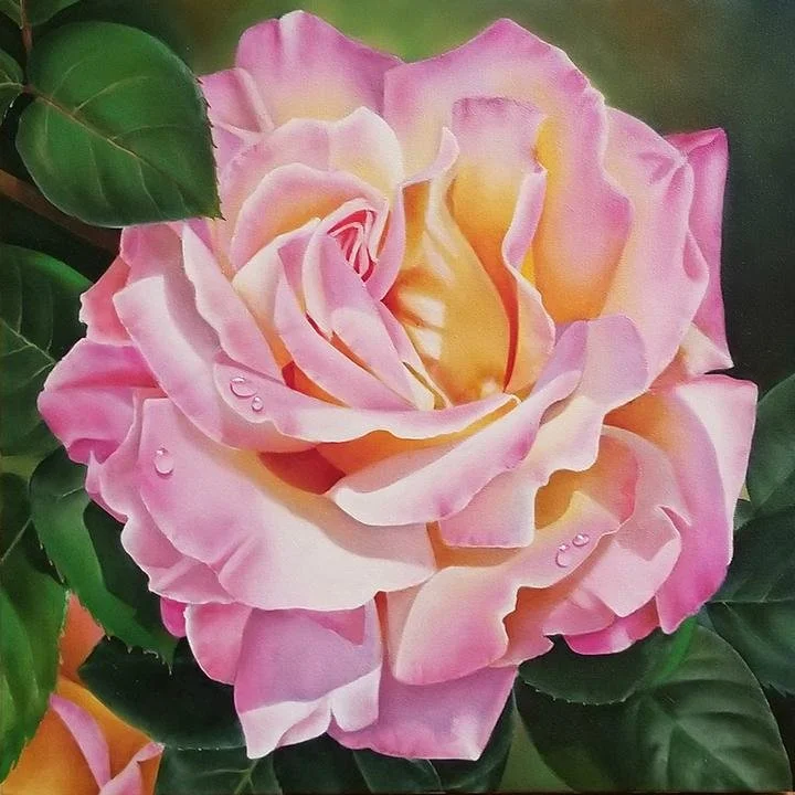 Pink Rose, 20x20 — Spa Fine Art Gallery